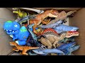 Hunting 50 Dinosaur Toy In The Box