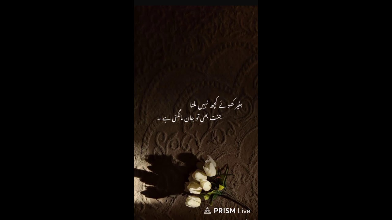 Live streaming of Rashi Foods