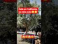 #reflexion #yosoydelos7mil #humor #pets #paranormal #shortsviral #shortvideo #shorts#lol