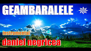 █▬█ █ ▀█▀ 2023 - GEAMBARALE-  Daniel Negricea  [DOMN PROFESOR DANCIU ]