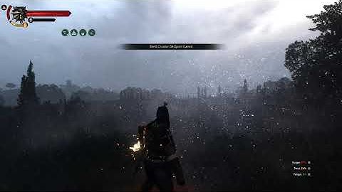 W3EE - Lazarus Project - New Petard and Knife animations to replace artificial cooldown