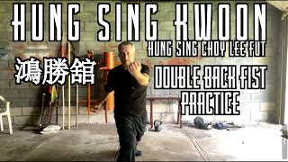 Double Back Fist Practice - Hung Sing Choy Lee Fut Kung Fu