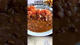 ガッツリ！カツカレーと半ラーメンのセット【栃木県塩谷町】松川食堂【栃木グルメ】