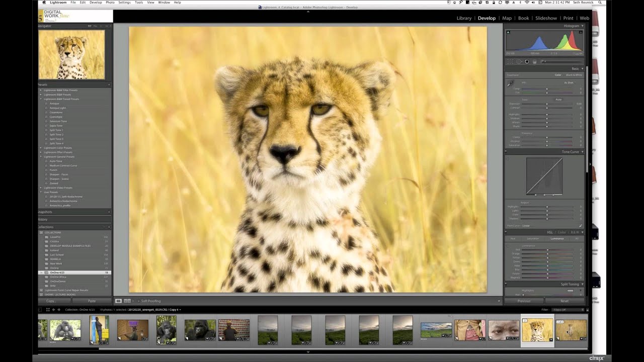 Rwanda & Tanzania in Pictures - Part II with Seth Resnick