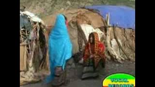 ETHIOPIAN MUSIC - Zafu Kiros 5 (yewelelis) afarigna