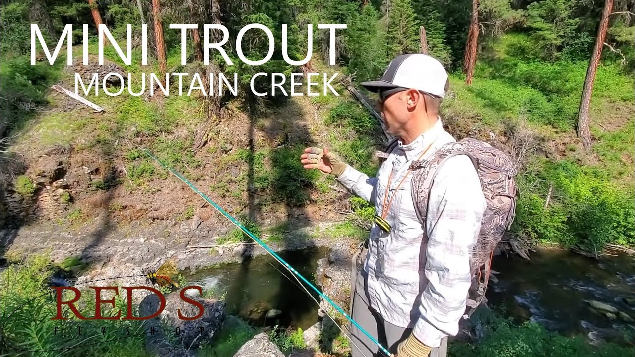 Mini Mountain Trout // 2 Weight Echo River Glass Rod Review 