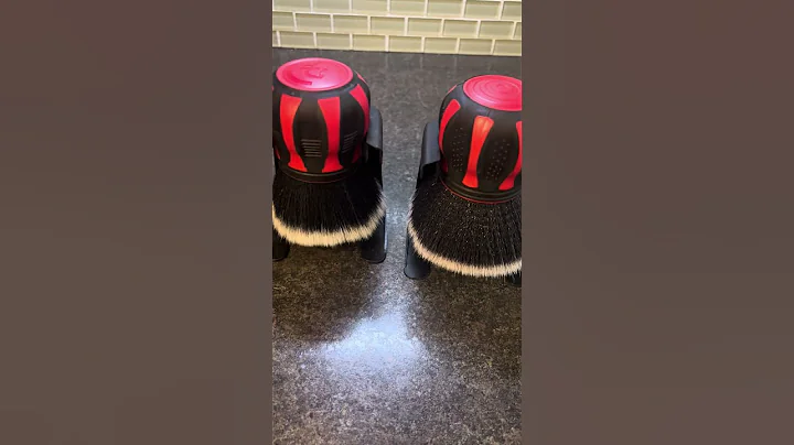 the Detail Factory Curveball Brush vs the Temu Brush the only difference is the huge price