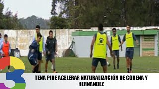Tena Pide Acelerar Naturalización De Corena Y Hernández