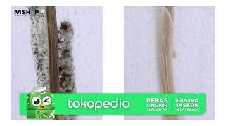 Download Lagu EZ BALCK CREAM VS PEWARNA RAMBUT BIASA