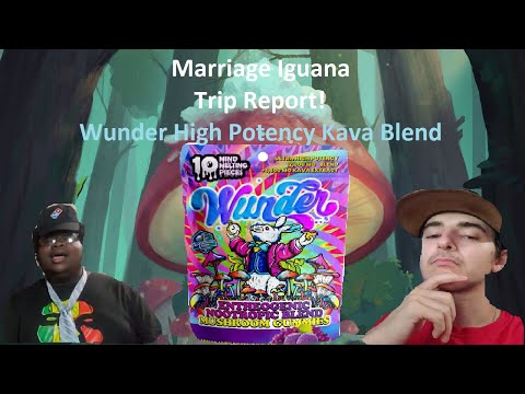 Trip Report! Wunder High Potency Kava Mushroom Gummies Review