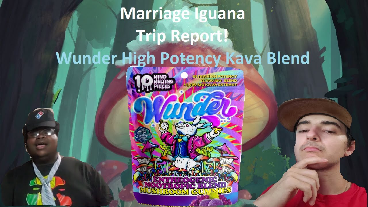 Trip Report! Wunder High Potency Kava Mushroom Gummies Review