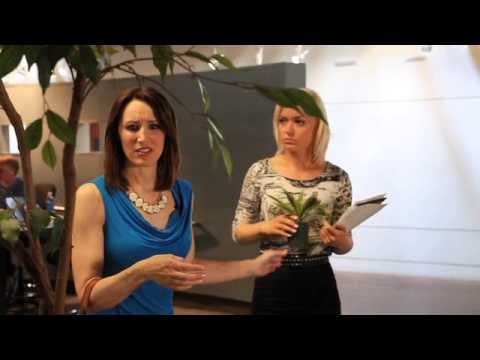 welcome liz dueweke to q13fox news youtube