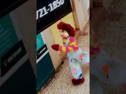 CARRETA DA ALEGRIA