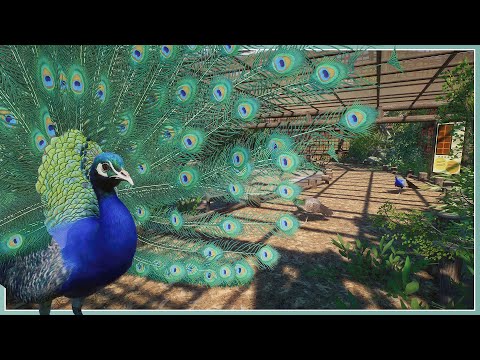 Indian Peafowl Habitat - Sequora Zoo | Planet Zoo Speed Build