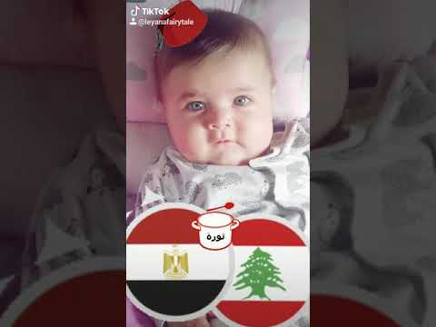 مرحبتين أهلا وسهلا مصر ولبنان