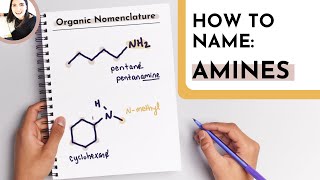 How to Name Primary, Secondary & Tertiary Amines | IUPAC Rules
