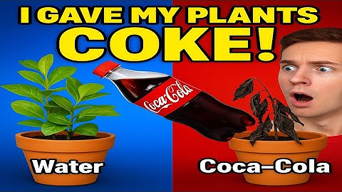 This Is What Coca-Cola Did to My Plants in Just One Week!