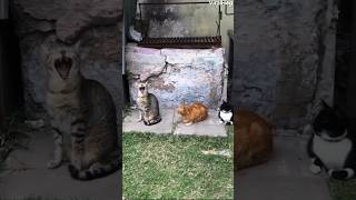 Esnemek Bulaşıcıdır