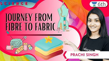JOURNEY FROM FIBRE TO FABRIC | Science | Prachi Singh