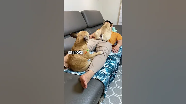 Sleeping Dogs Wake Up When They Hear Their Favorite Food - DayDayNews