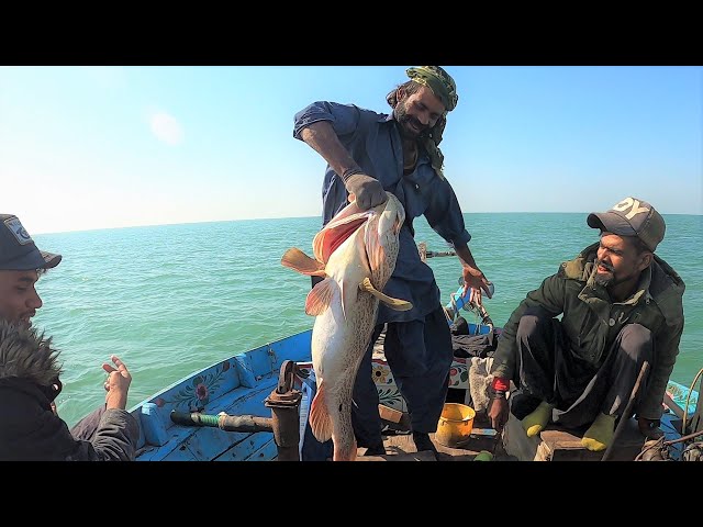 Big Strike In Mangroves Fishing | Bottom Fishing From Ibrahim Hedri To Pittyani Karachi class=