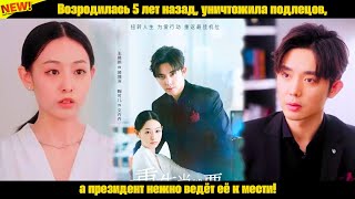 видео: Возродилась 5 лет назад, уничтожила подлецов, а президент нежно ведёт её к мести! картинка: Возродилась 5 лет назад, уничтожила подлецов, а президент нежно ведёт её к мести!