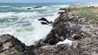 Visiting the Tide Pools at Half Moon Bay