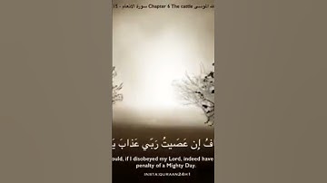 سورة الأنعام translated Quran