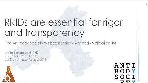 Antibody Validation 04: RRIDs are essential for rigor and transparency