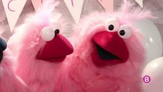 Uau Ka Kau T1 Ep. 51 (Qui li ha fet això al meu arbre?) - IB3