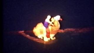 Circus Mok 1979