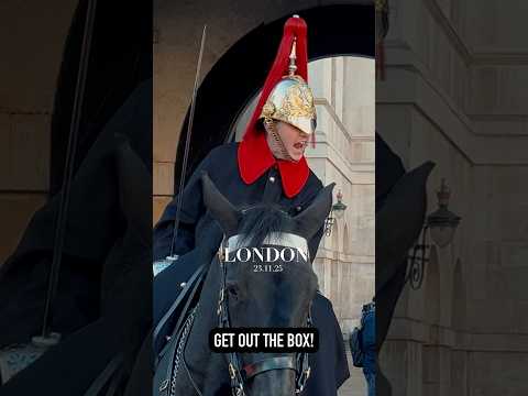 THIS KING’S GUARD TAKES NO NONSENSE! 💂‍♂️🐎🗡️⚠️⚡️ | Horse Guards, Royal guard, Kings Guard, Horse
