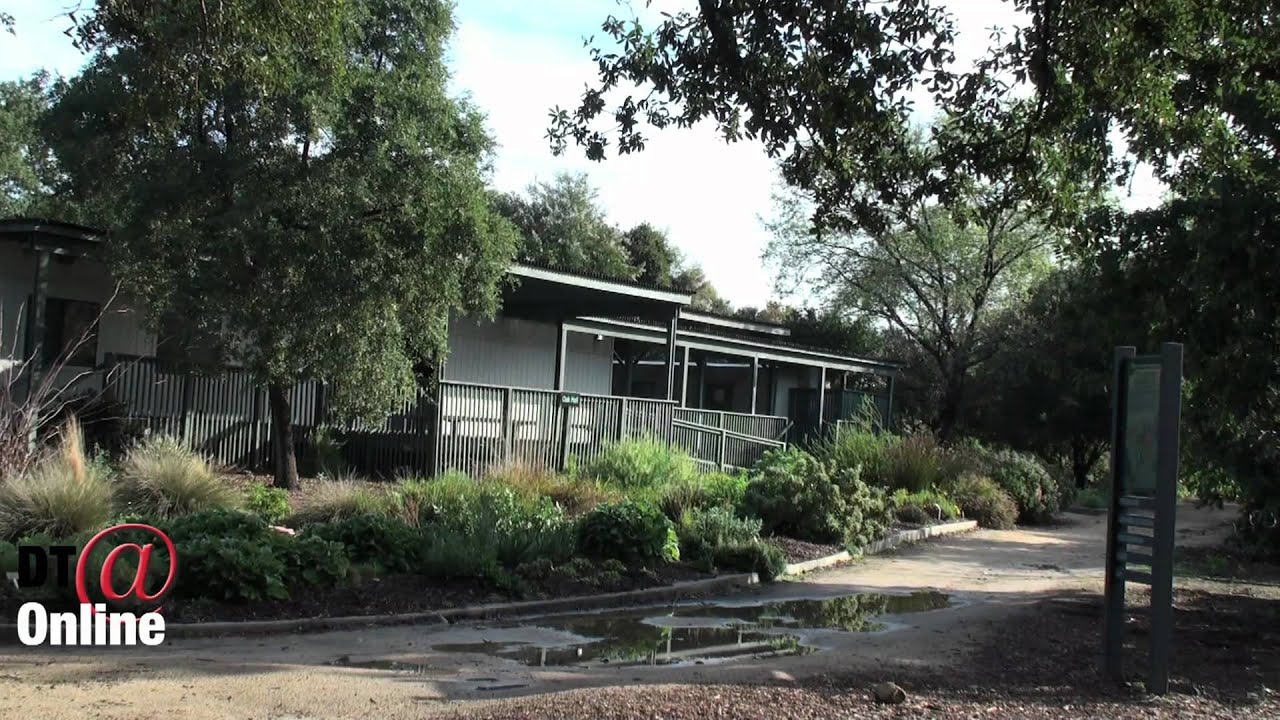 Yoga at the Arboretum