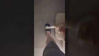 Oh No Ive Been Inated