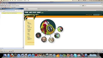 HP LoadRunner 11 Demo Recording an AJAX TrueClient script
