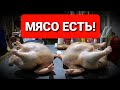 🔴НАЧАЛОСЬ!!! / СЛОЖНЫЙ ПЕРИОД В ПТИЦЕВОДСТВЕ / ОСЕННИЕ ЗАБОИ / ВСЕМ ТЕРПЕНИЯ И СИЛ!