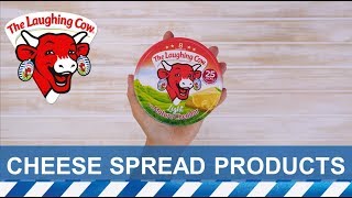 Light Cheddar Cheese Spread | The Laughing Cow Round Box