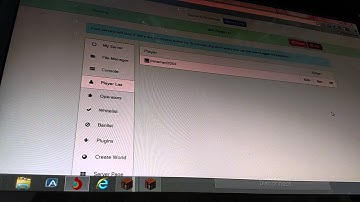 How to manage your server.pro Minecraft server!