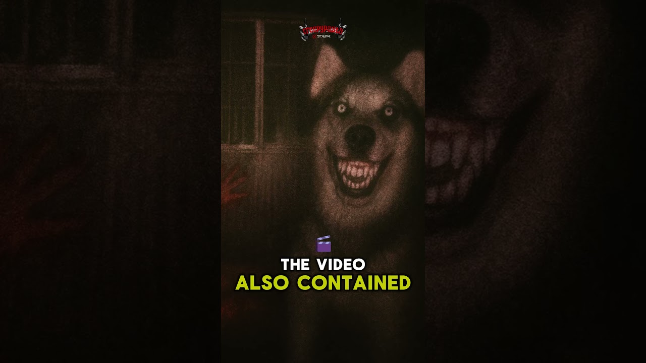 Smile Dog is Real?! The Cursed Image That Drives You Insane Part 1 | Creepypasta Storytime