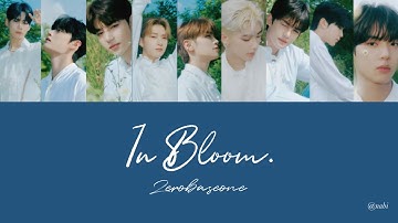 【カナルビ·和訳】In Bloom/ZEROBASEONE