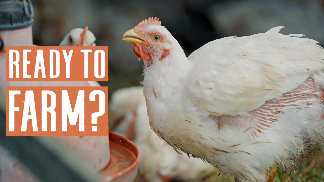 Я готов уйти с работы и полностью посвятить себя фермерству... Что теперь? | Джоэл Салатин