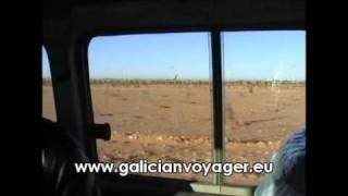 SAHARA, LLEGADA A TINDOUF