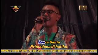 SONIA - NEW KAMPRET.