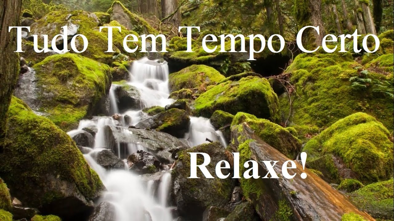 Descansado Imagens da Natureza Para Descansar e Relax - YouTube