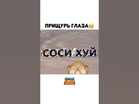 прищурь глаза🤣 - YouTube