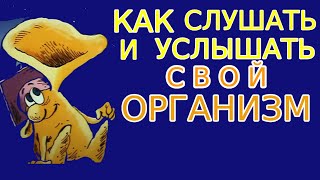 Учимся Слушать И Слышать Себя Не Мы Указываем Организму, А Он Нам Альтернатива Медицине Часть 4