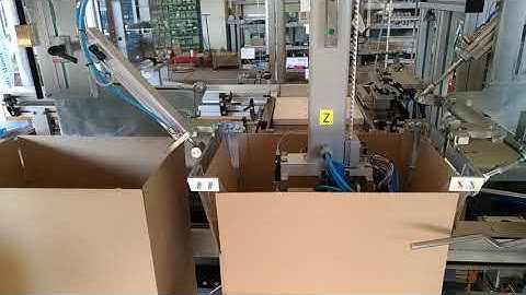 LP Packaging  CP25 Casepacker