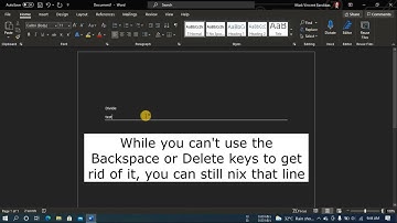 How to Delete Horizontal Lines in Microsoft Word That Won