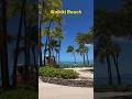 Waikiki Beach 🌴 Hawaii John