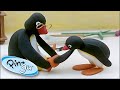 Pingu Helps His Dad! @Pingu - Official Channel | Cartoons for Kids